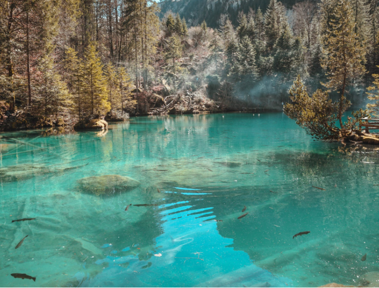 1648791380791341.png 微信截圖_20220401133602.png