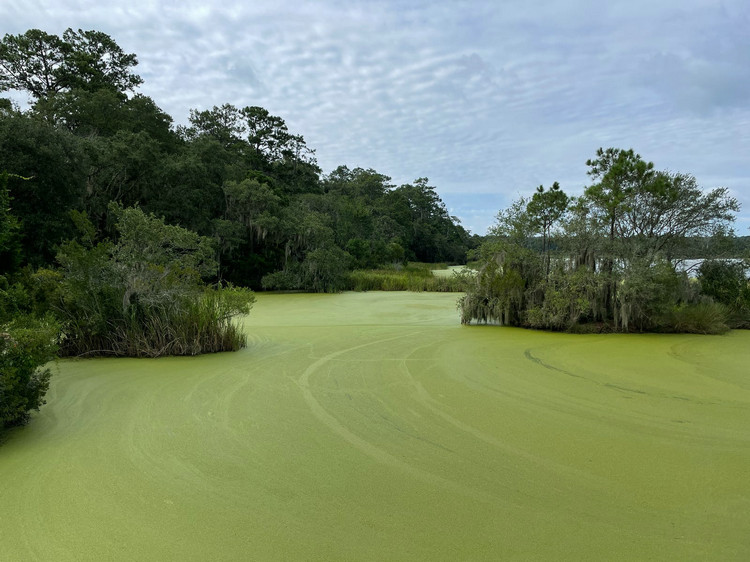 氮磷污染 氮磷污染